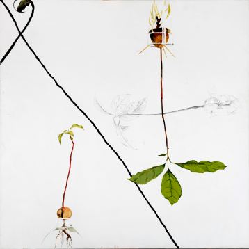 Avocado, Painting by Maayan Shira