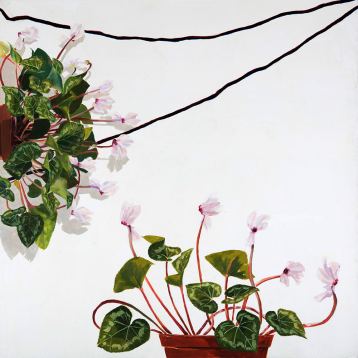 Cyclamen, Painting by Maayan Shira