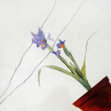 Iris, Painting by Maayan Shira